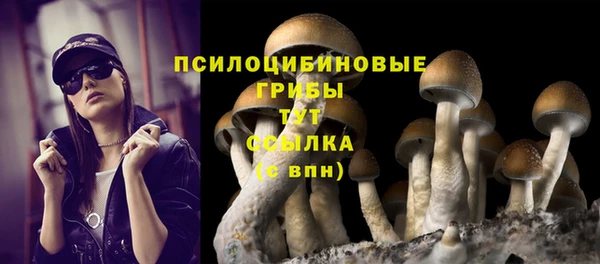 прущая мука Бугульма