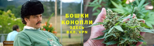 крисы Верхний Тагил