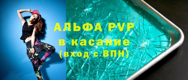 крисы Верхний Тагил