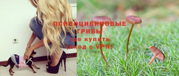 крисы Верхний Тагил