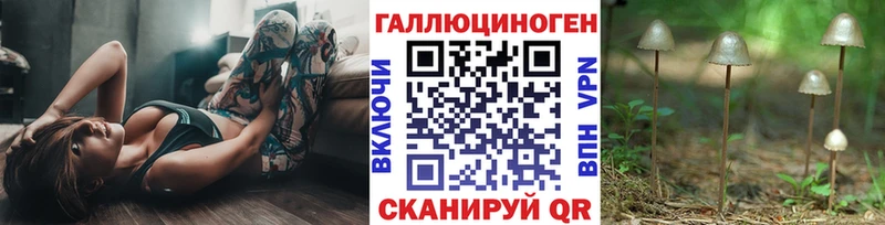 Галлюциногенные грибы Psilocybe  Донецк 
